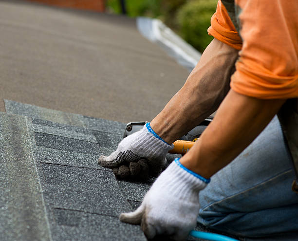 Best Storm Damage Roof Repair  in Wildwood Lake, TN